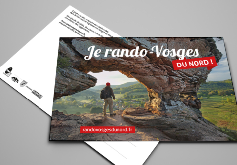 Identité visuelle d’un projet pour le Parc naturel régional des Vosges du Nord