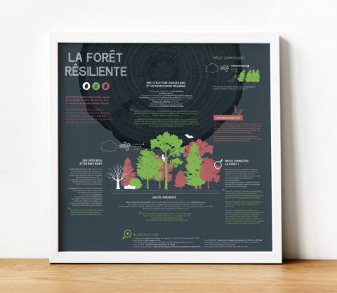 Affiche pour le Parc naturel régional des Vosges du Nord