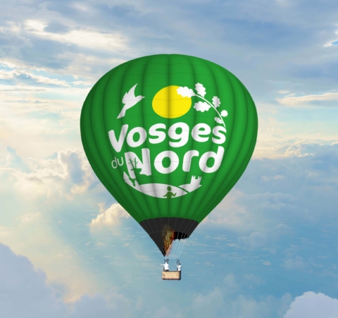 Enveloppe de montgolfière